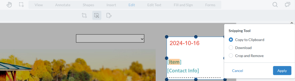 The snipping tool selected the word "item" and copied it to the clipboard.