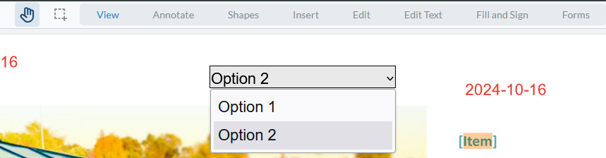 A combo box offers two options in a PDF editor