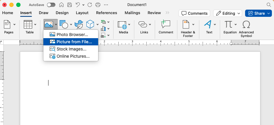 A screenshot showing Microsoft Word's insert tab with Insert picture from file selected. 