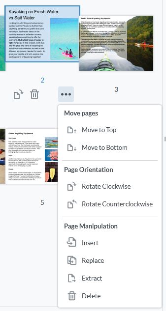 From the three-dot icon, select Delete to delete a page from a PDF.