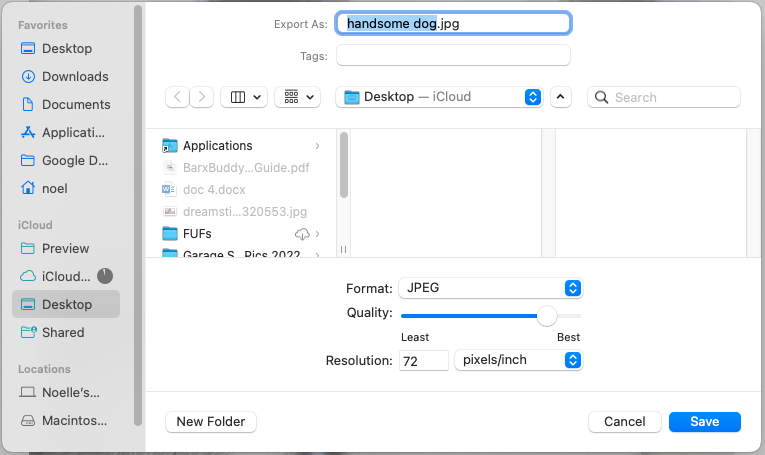 screenshot showing options for converting a pdf to a jpeg