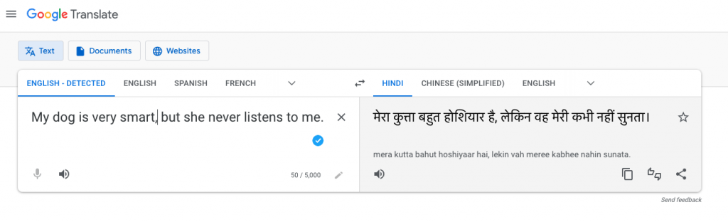 screenshot showing google translate, translating a sentence from english to hindi