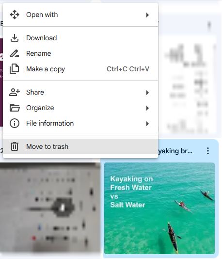 right click menu for deleting a pdf from google drive. Select move to trash, which is highlighted in gray.