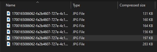 List of individual JPG files that have been converted from the PDF format
