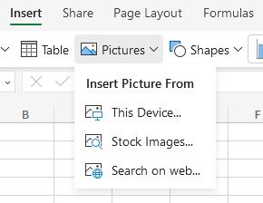 Where to find the insert picture option in Excel