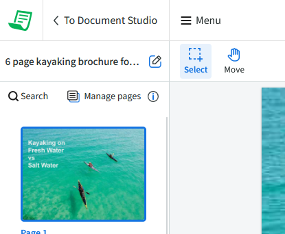 Image showing a closeup of the Manage pages option in pdf live's studio.