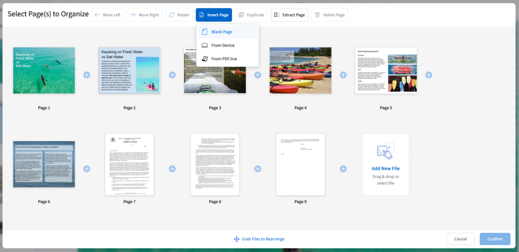 thumbnail view of the pdf live dashboard with insert page selected from the menu and blank page selected.