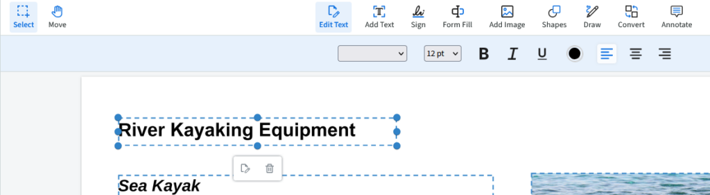 The text editor of pdf live shows the title selected and an image removed or moved.