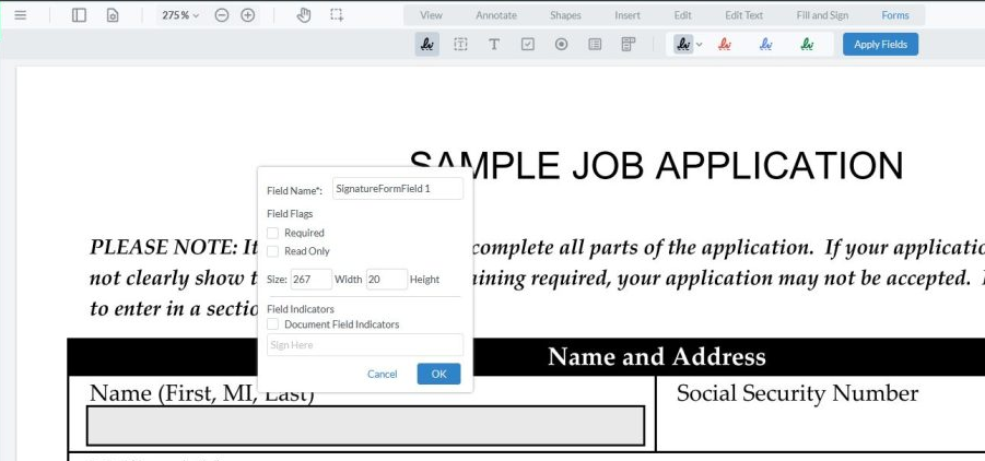 The fillable form details box showing the fillable form field name.