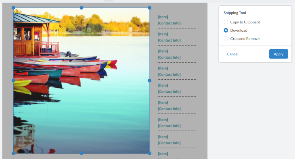 The download option is selected in the snipping tool of the PDF editor. 